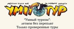 Умный Туризм Логотип(logo)