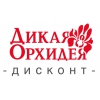 Дисконт Дикая Орхидея Логотип(logo)