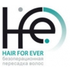 Клиника HFE безоперационная пересадка волос Логотип(logo)