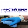 Клининговая компания Чистый Терем Логотип(logo)