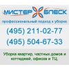 Мистер Блеск Сервис Логотип(logo)