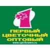 Первый цветочный оптовый Логотип(logo)