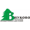 Питомник декоративных растений Внуково Логотип(logo)