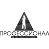 ПРОФЕССИОНАЛ Логотип(logo)