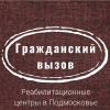 Центр социальных инноваций Гражданский вызов Логотип(logo)