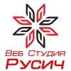 Веб студия Русич - разработка сайтов и интернет магазинов Логотип(logo)