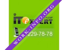 IT Expert Group Логотип(logo)