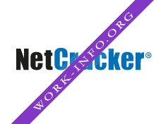 NetCracker Technology Corp. Логотип(logo)