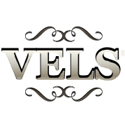 Интернет магазин VELS Логотип(logo)