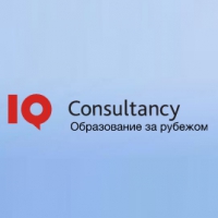 IQ Consultancy Логотип(logo)