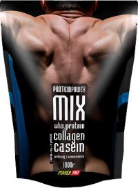 Protein MIX Логотип(logo)