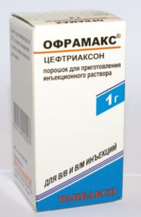 Офрамакс Логотип(logo)