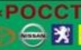 СТО РОССТ СТО, Киев Логотип(logo)