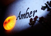 Логотип компании Ресторан AMBER (Амбер)