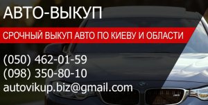 autovikup.biz автовыкуп Логотип(logo)