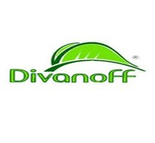 Диванофф (Divanoff) мебельная фабрика Логотип(logo)