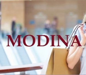 modina.com.ua интернет-магазин Логотип(logo)