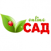 САД-online Логотип(logo)