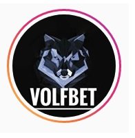 Логотип компании volfbet