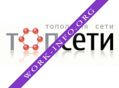 ТопСети Логотип(logo)