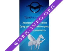 ТрансСервисТорг Логотип(logo)