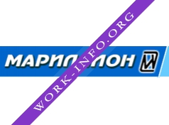 Мариллион, Аудиторская компания Логотип(logo)