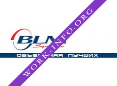 БЛМ Синержи Логотип(logo)