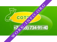 Сотэм Логотип(logo)