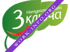 Логотип компании 3 ключа