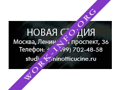 Салоне дизайна и интерьера Новая Студия Логотип(logo)