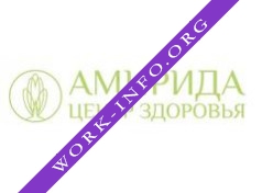 Амирида Логотип(logo)