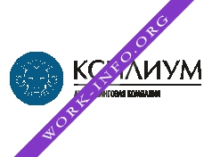 Аутсорсинговая компания КСИЛИУМ-КОНСАЛТИНГ Логотип(logo)