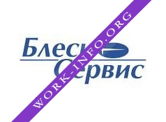 БлескСервис, Казань Логотип(logo)