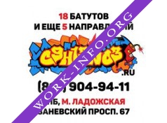 C9H13NO3 Логотип(logo)