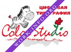 Color Studio, цифровая типография Логотип(logo)