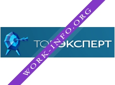 Топэксперт Логотип(logo)