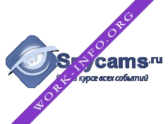 Логотип компании Spycams