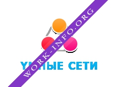 Компания Умные сети Логотип(logo)