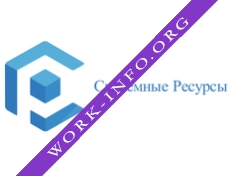 НПП Системные Ресурсы Логотип(logo)