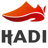 Hadi Логотип(logo)