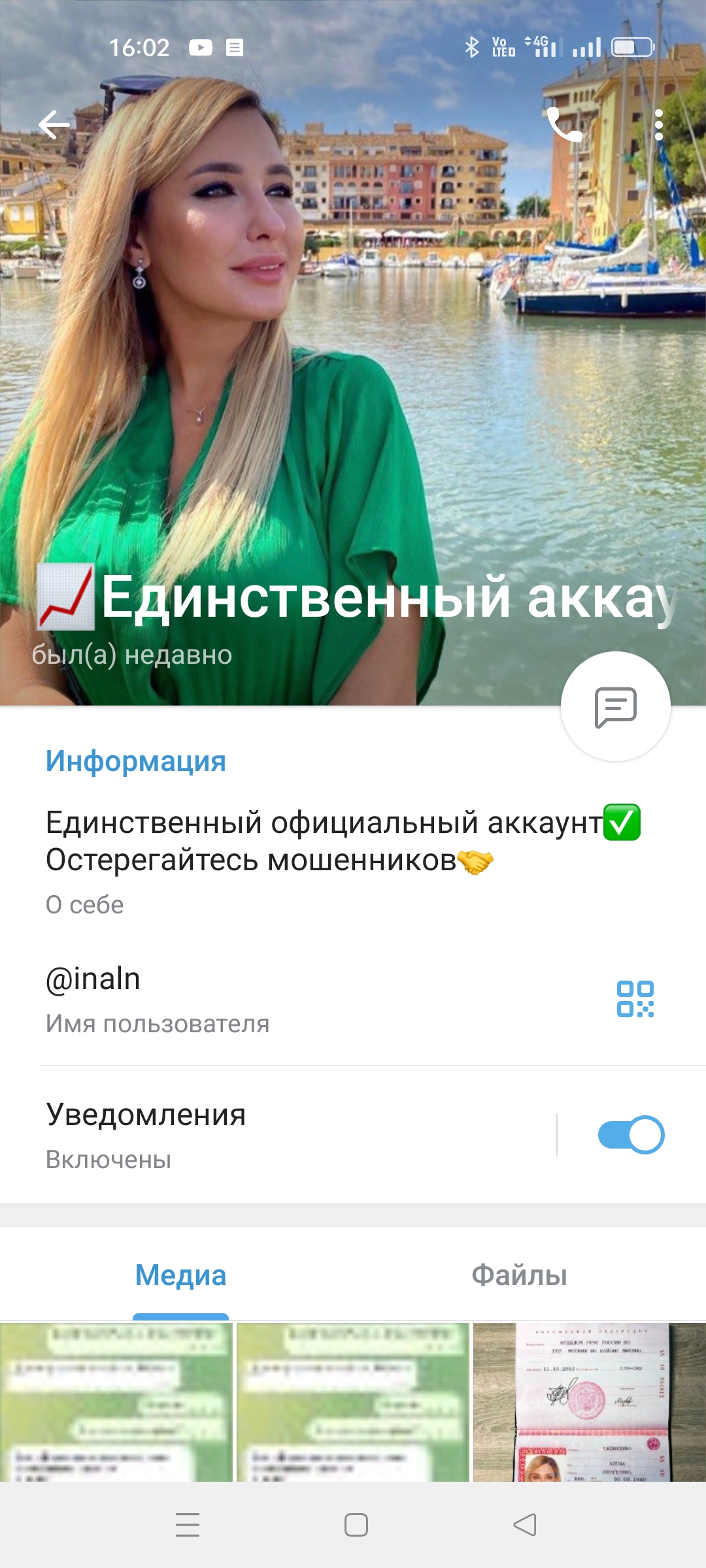 @INALN Логотип(logo)