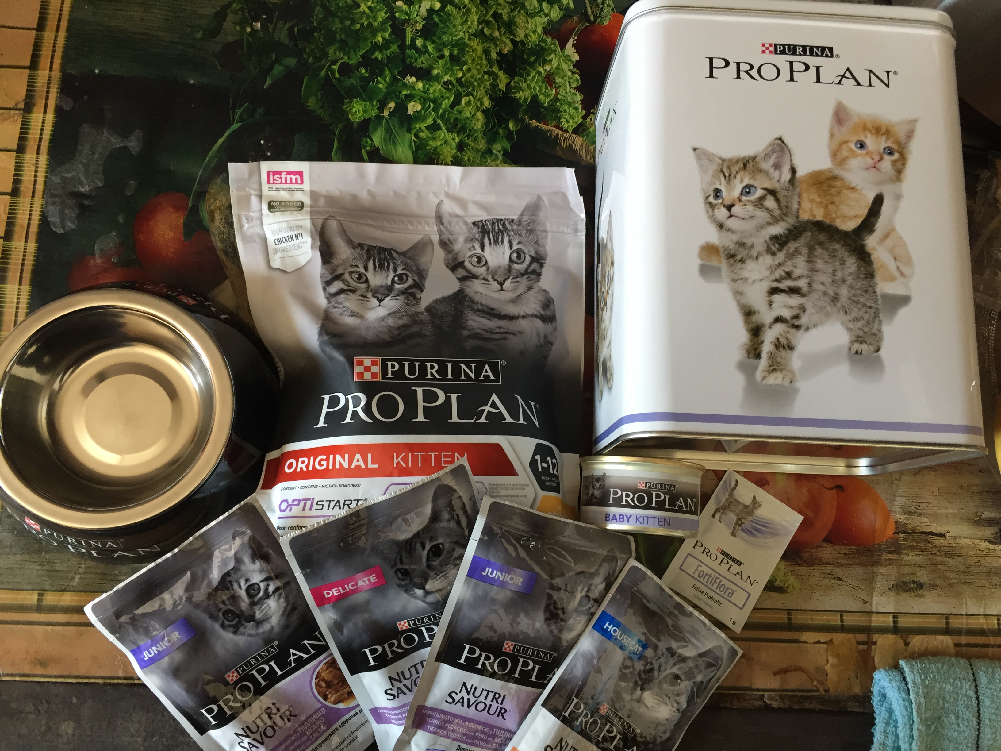 Purina ProPlan Логотип(logo)